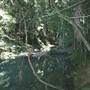 Austinville Rock Pools