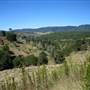 Rural Country Valley Scenic Back Road