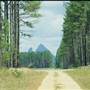 Coochin Creek - Pine Plantation / Qld State Forest