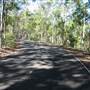 Bellbird Grove - D'Anguilar National Park