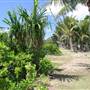 Cairns Region - Bramston Beach