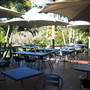 Mt Coot-tha Botanical Gardens