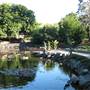 Mt Coot-tha Botanical Gardens