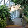 Mt Coot-tha Botanical Gardens