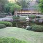 Mt Coot-tha Botanical Gardens