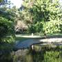 Mt Coot-tha Botanical Gardens