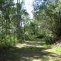 Camp Mountain Lookout