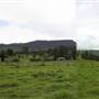 Cedar Glen Farmstay