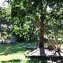 South Brisbane Cemetery