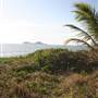 Cairns Region - Ellis Beach