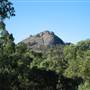 Warwick Region - Girraween National Park