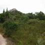 Warwick Region - Girraween National Park