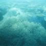 Hardy Reef
