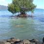Hook Island