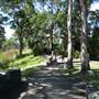 Jollys Lookout
