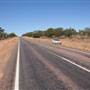 Flinders Highway - Longreach