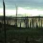 Lake Tinaroo