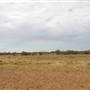 Longreach Landscape