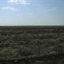 Longreach Landscape