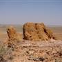 Longreach Landscape