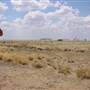 Longreach Landscape