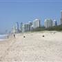 Main Beach