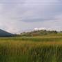 Mary River