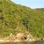 Maureens Cove (Hook Island)