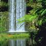 Millaa Millaa Falls