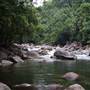 Mossman Gorge