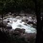Mossman Gorge