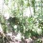 Mowbray Valley