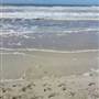 Oceanside Park - Narrowneck Beach