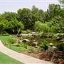Japanese Garden, Mt Coot-tha Botanical Gardens