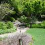 Japanese Garden, Mt Coot-tha Botanical Gardens