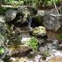 Japanese Garden, Mt Coot-tha Botanical Gardens