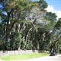 Mt Glorious