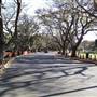 New Farm Park