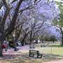 New Farm Park