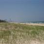 Nobby Beach and Headland