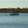 Noosa River