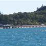 Picnic Bay (Magnetic Island)