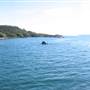 Peel Island