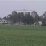 Wheat Fields