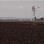 Wheat Fields