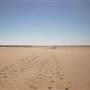 Quilpie Clay Pans