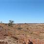 Rangelands Station