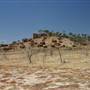 Rangelands Station