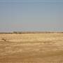 Rangelands Station