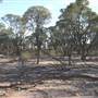 Rangelands Station